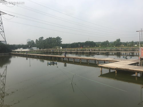 优鱼科技 科技助力水产养殖，引领传统养殖模式转型升级