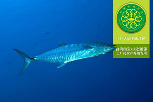 工厂化水产养殖专用漆的生态简介