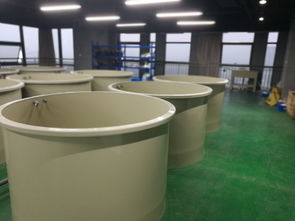 科创组团工业化淡水水产养殖研发中心瞩目而成，引领水产养殖新篇章