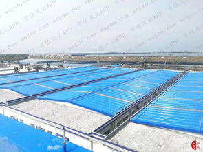 对虾大王国联水产财务疑团 风云独立审计下的水产养殖业警示