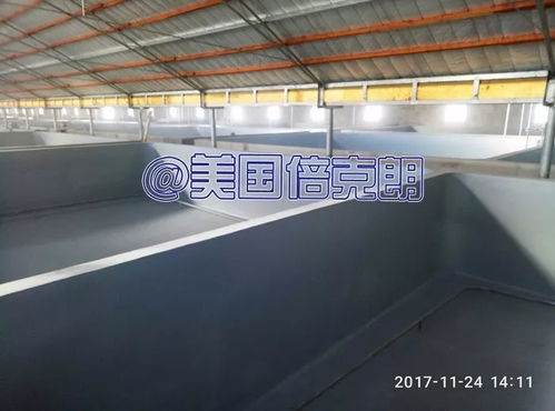 美国倍克朗携手金盛水产共建水产养殖漆示范基地，引领行业绿色发展