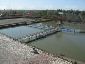 水产养殖业的发展前景