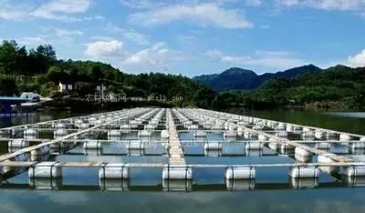 水产养殖业如何实现绿色发展 路径、挑战与未来展望