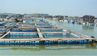 喜讯！饶平县水产养殖区成功获评省级示范区