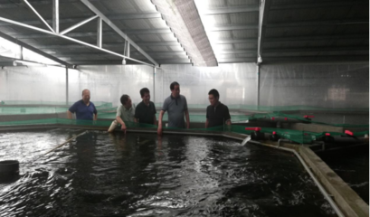 阳澄湖镇领导深入一线走访水产养殖企业 助推产业高质量发展