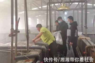 滨州市开展冬季工厂化养殖水产品监督抽查 20批次全部合格彰显质量安全