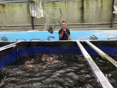 援藏新篇章 佛山助力墨脱水产养殖试点项目喜获成功