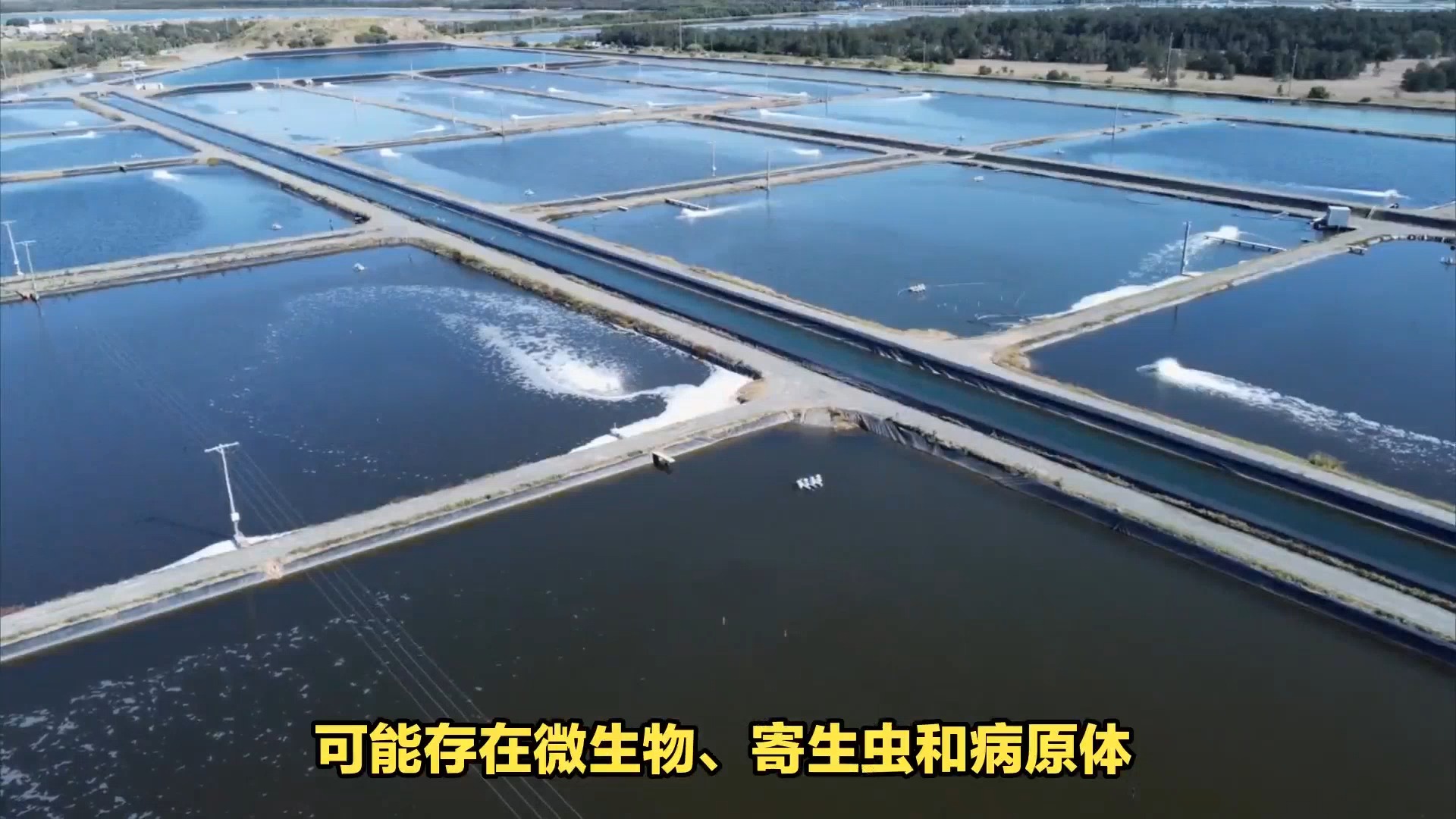 水产养殖尾水处理方法全面解析